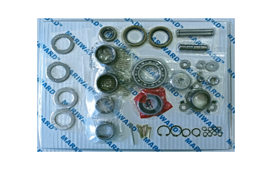 PGA200 overhaul kits